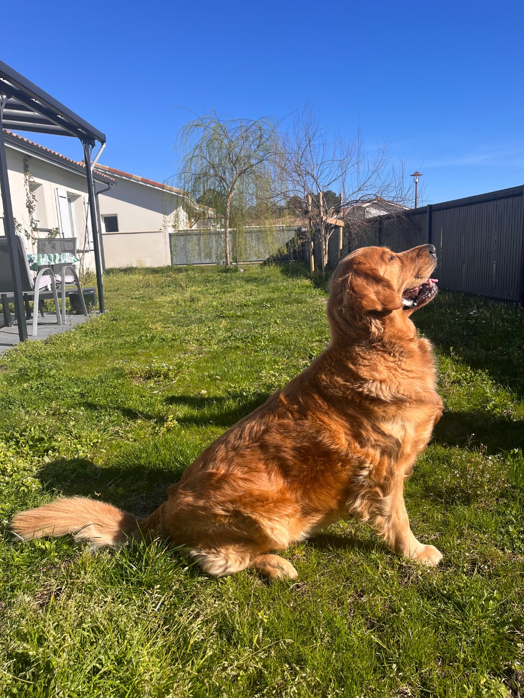 Ulka de la Colline du Coeur de Feu
